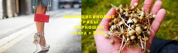 ALPHA PVP Баксан