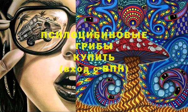 дживик Балахна