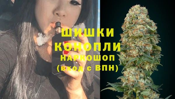 дживик Балахна