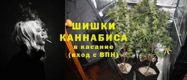 дживик Балахна