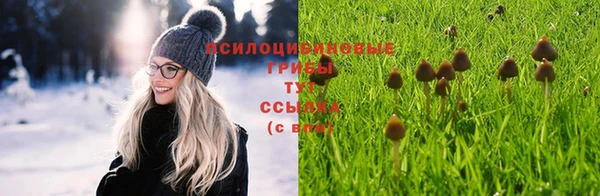 дживик Балахна